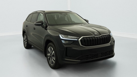 345011_p2 - SKODA - KODIAQ - 2024