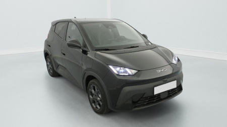 378162_p2 - BYD - DOLPHIN SURF - 2025