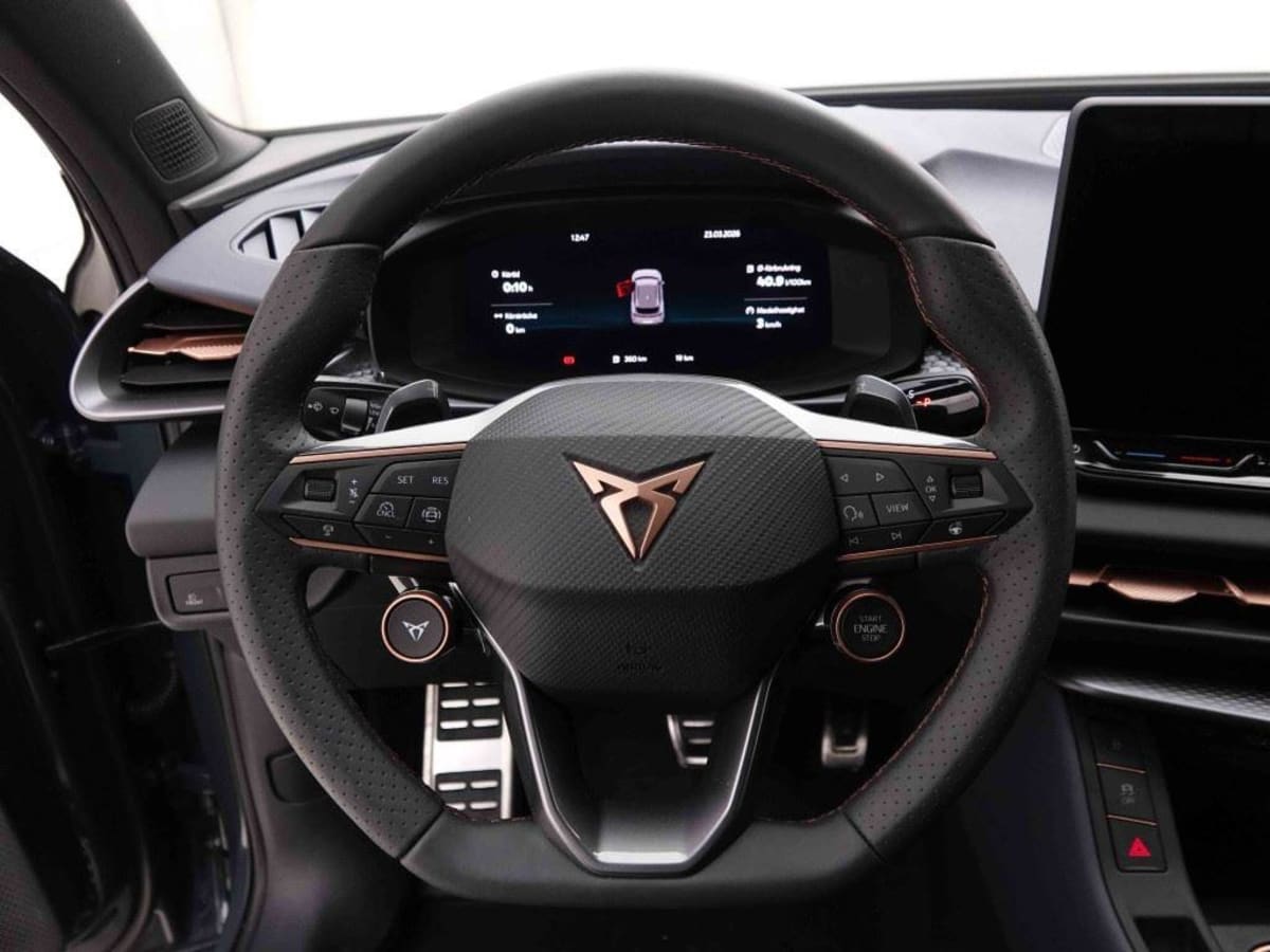 389660_p2 - CUPRA - TERRAMAR - 2026 - photo 9