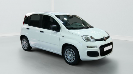 396193_p2 - FIAT - PANDINA - 2026