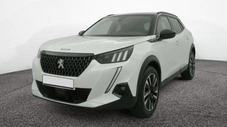 228819_p28 - PEUGEOT - 2008 - 2021