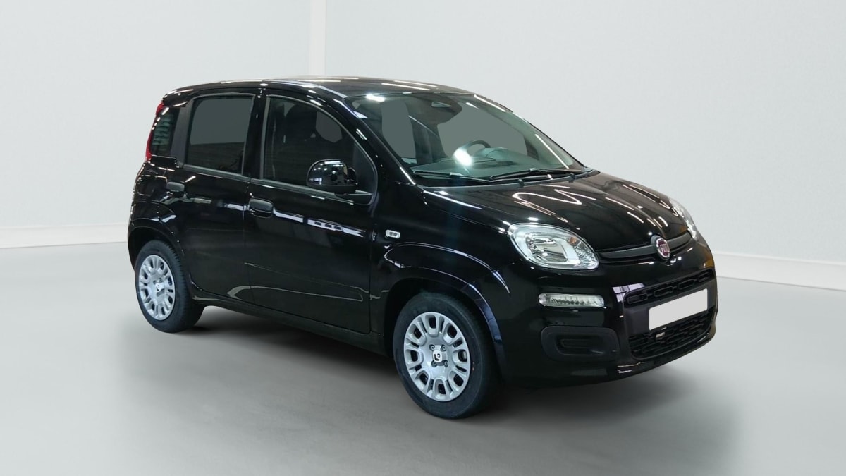 396192_p2 - FIAT - PANDINA - 2026 - photo 2
