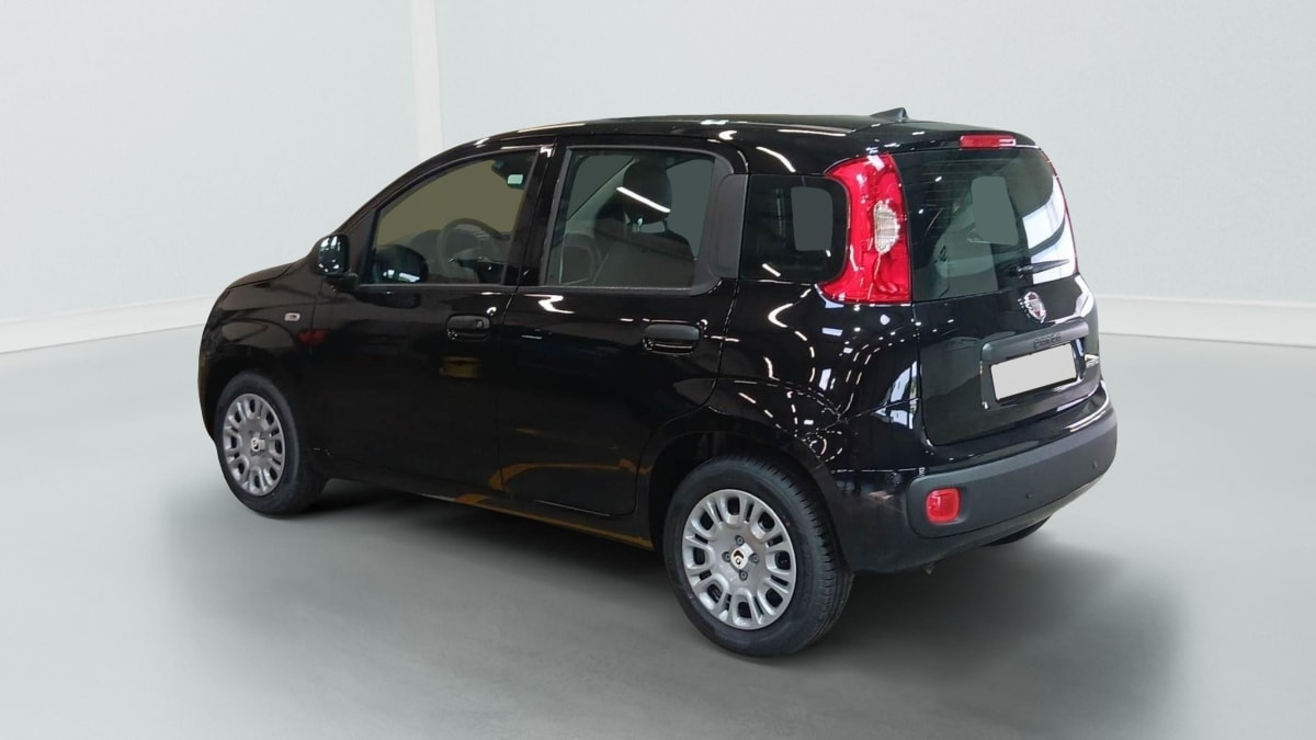 396192_p2 - FIAT - PANDINA - 2026 - photo 3